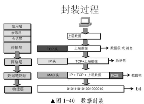 网络设备在网络工程中的关键作用